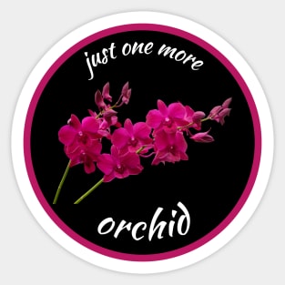 Just one more orchid Sticker